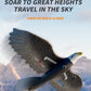 RC Eagle For Kids Trendy zone